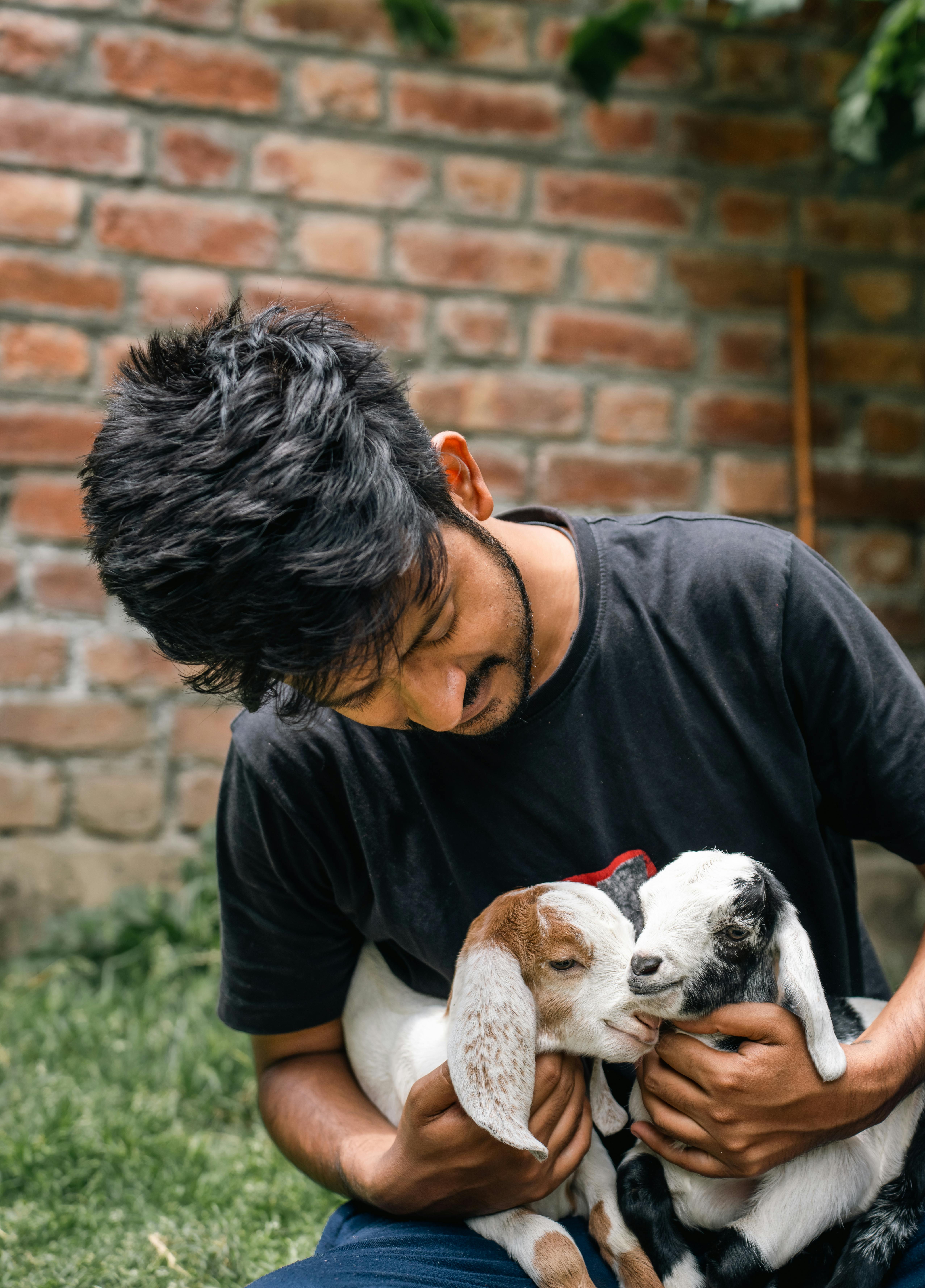Adorable puppy receiving gentle grooming